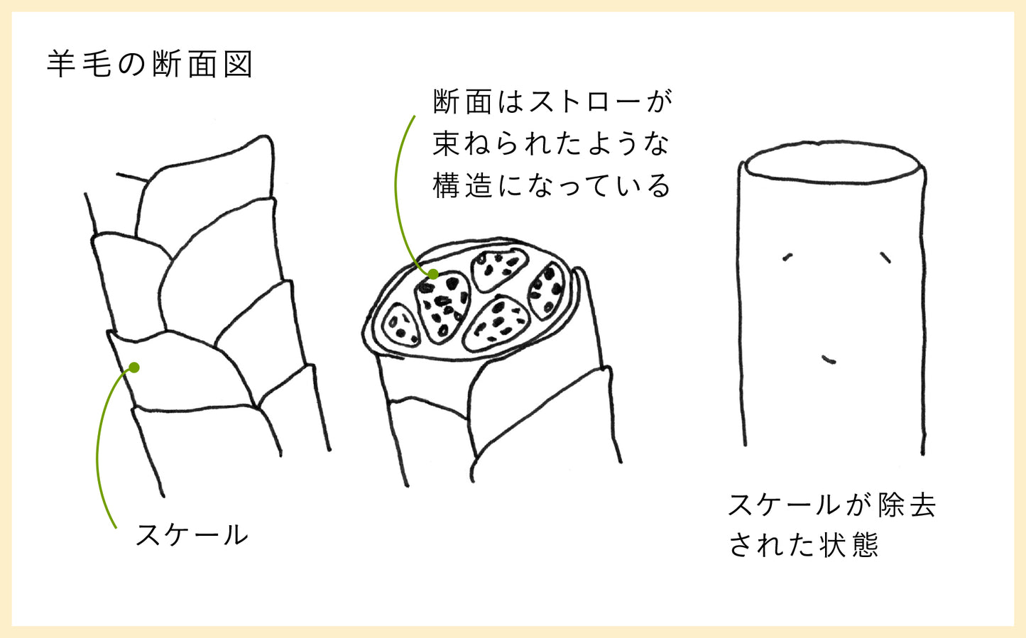 billerbeck／ ボゥルフ敷きふとん