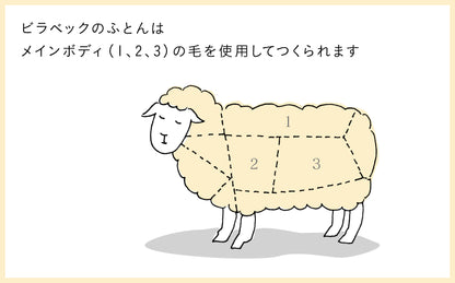 billerbeck／ ボゥルフ敷きふとん