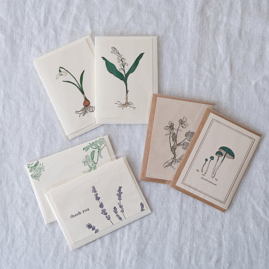 botaniko press／メッセージカード