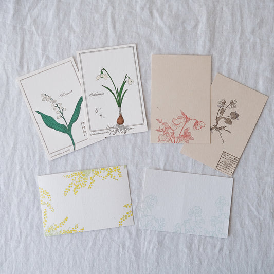 botaniko press／ポストカード