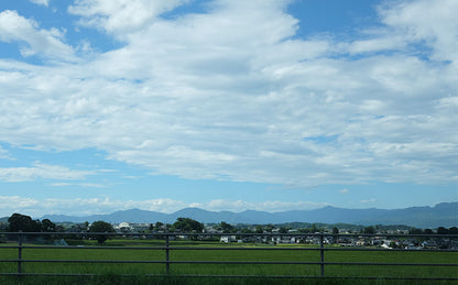 酢屋茂／こうじ味噌（吟醸）