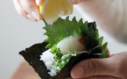 脱サラファクトリー／自凝雫塩